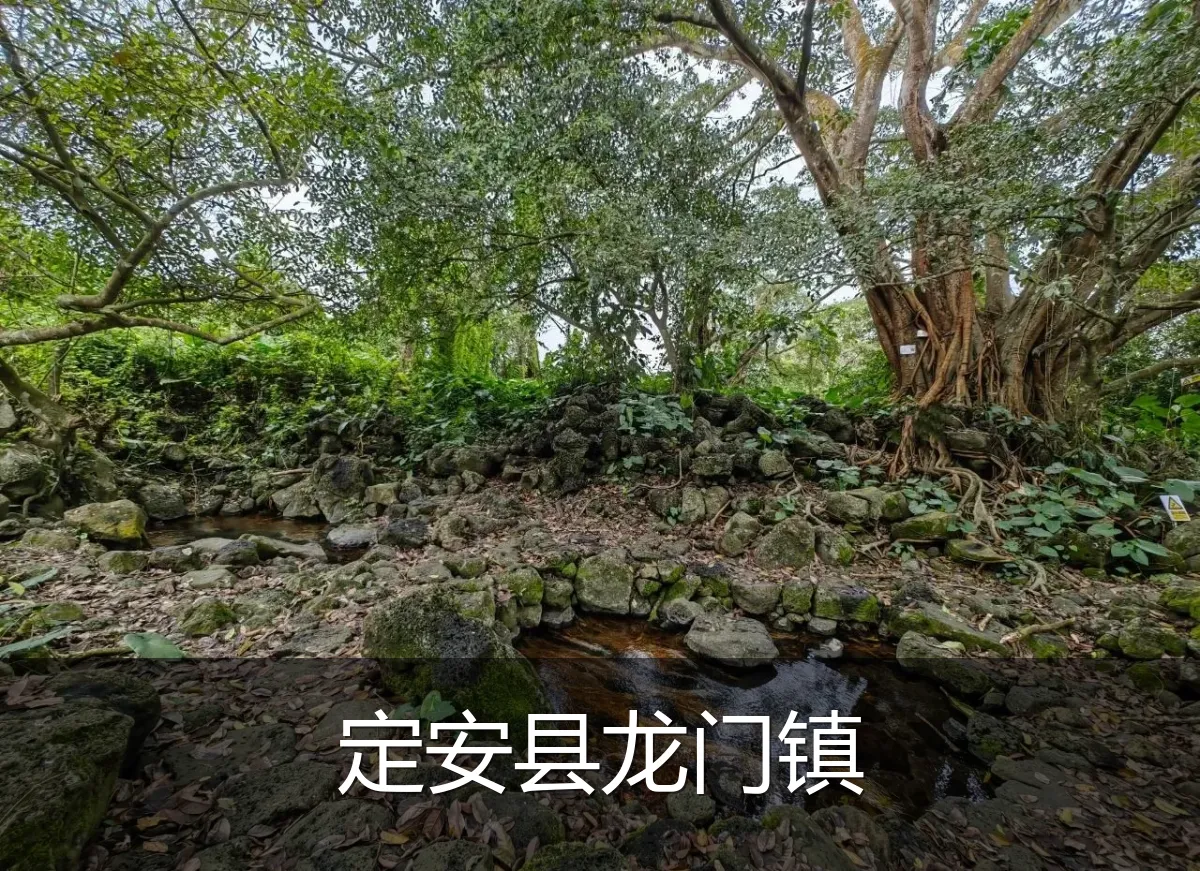 定安县龙门镇